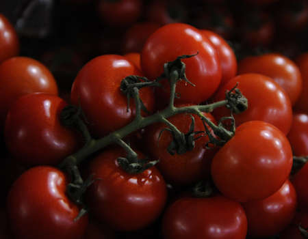 Tomatoes on a counter in Kiev, January 22, 2019.の写真素材