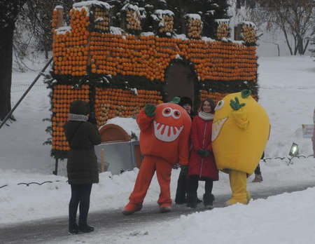 Animators in orange and lemon costumes take pictures with visitors of the first citrus festival at the Pevchesky field in Kiev, January 6, 2019.のeditorial素材