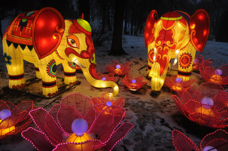 Elephant lanterns during the Giant Chinese Lantern Festival at the Singing Field in Kiev, February 14, 2019.のeditorial素材