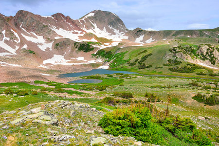 high altitude alpine tundra in Colorado during summer