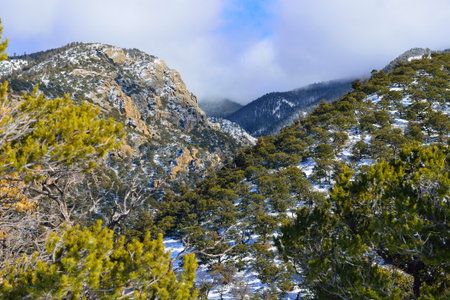 High Mountains of Colorado During Winterの写真素材