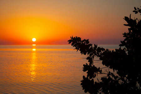 tropical ocean sunsetの写真素材