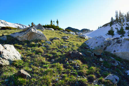 Meadow in Snowy Range Mountains in Medicine Bow, Wyoming in summerの写真素材