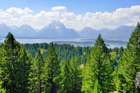 Mountains of the Grand Teton National Park along the Signal Mountain Road, Wyoming in Summerの写真素材