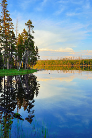 Reflection of trees in the lake at Ice Lake Campground in Yellowstone National Park in Summerの写真素材