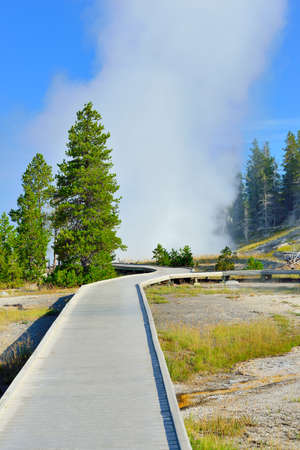 walkway through the Upper Geyser basin of Yellowstone National Park, Wyomingの写真素材