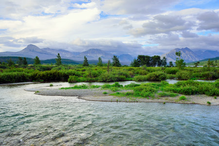 beautiful landscape view of the Glacier National Park in summer