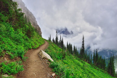 high alpine trail and heavy fog in glacier national park in summer