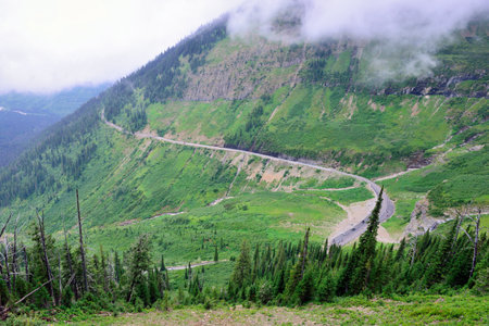 going to the sun road in glacier national park, montana in summerの写真素材