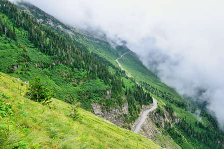 going to the sun road in glacier national park, montana in summerの写真素材