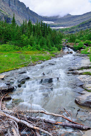 mountain stream on a high alpine trail in glacier national park in summerの写真素材