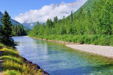 mountain river in Glacier National Park, Montana in summer
