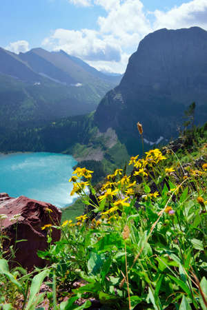 wild flowers in front of the Grinnell Glacier and lake in Glacier National Park in summerの写真素材