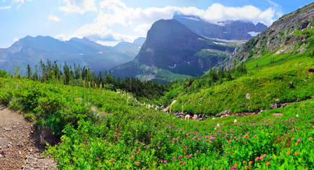 High alpine landscape on the Grinnell Glacier trail in Glacier national park, montana in summerの写真素材