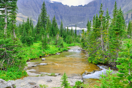 alpine stream by the Iceberg Lake glacier in Glacier National Park in summerの写真素材