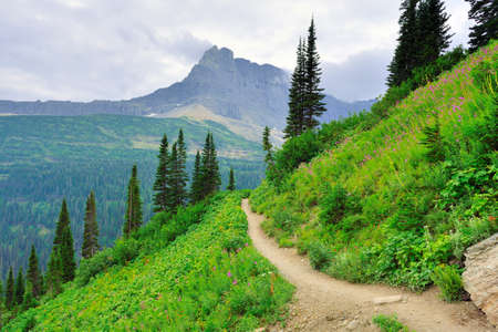 alpine trail to Iceberg Lake Glacier in Glacier National Park in summerの写真素材