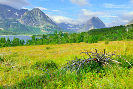 Glacier National Park by Sherburne lake in summerの写真素材