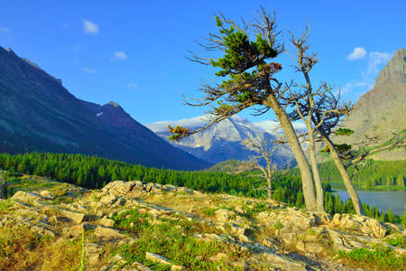 summer alpine landscape of the Glacier National Parkの写真素材