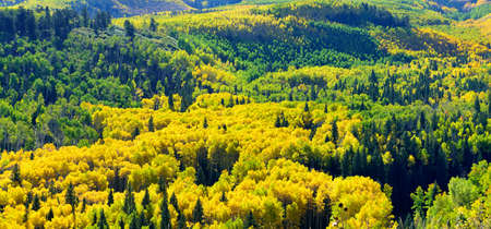 landscape view of the colorful colorado alpine scenery during foliage season near county road 7の写真素材