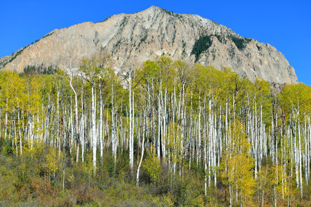 landscape view of the colorful alpine scenery with mountains during foliage season at Kebler and Ohio Passesの写真素材