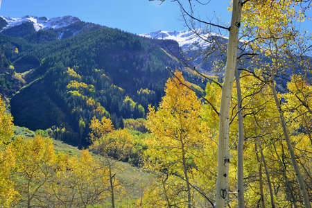snow covered mountains with colorful aspen during foliage season in Coloradoの写真素材