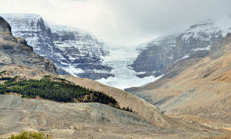 Glacier along the Icefields Parkway between Banff and Jasper in the Canadian Rockiesの写真素材