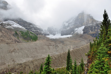 Glacier along the Icefields Parkway between Banff and Jasper in the Canadian Rockiesの写真素材
