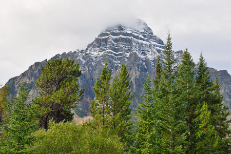 Alpine scenery along the Icefields Parkway between Jasper and Banff in Canadian Rockiesの写真素材