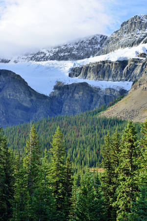 Alpine scenery along the Icefields Parkway between Jasper and Banff in Canadian Rockiesの写真素材