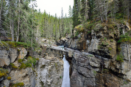 Waterfall along the Icefields Parkway in the Canadian Rockies between Banff and Jasperの写真素材