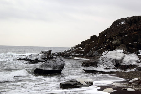 Ice dragonの写真素材