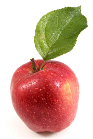 Beautiful wet red apple with leafの写真素材