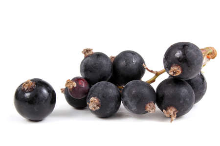 Black currant isolated on white backgroundの写真素材