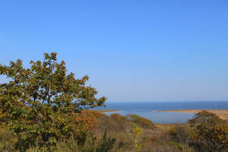 Autumn seascape with oakの写真素材