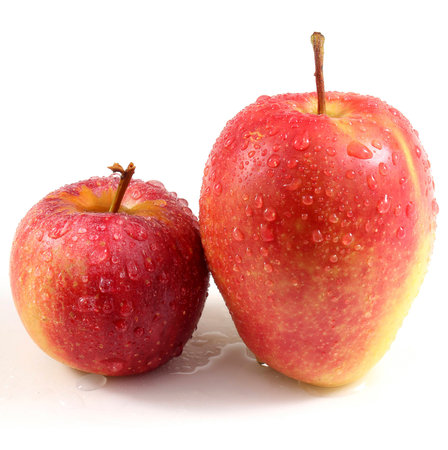 Big and little applesの写真素材