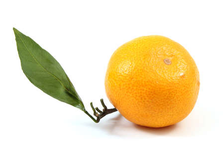 Mandarin citrus with leafの写真素材