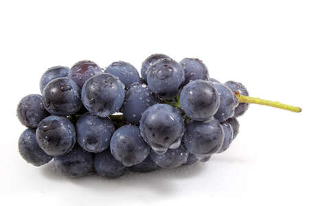 Wine blue grapeの写真素材