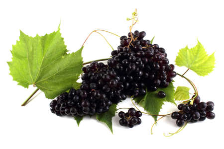 Cluster of grapes with leavesの写真素材