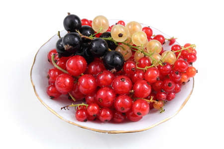 Red, white and black  currant on dishの写真素材