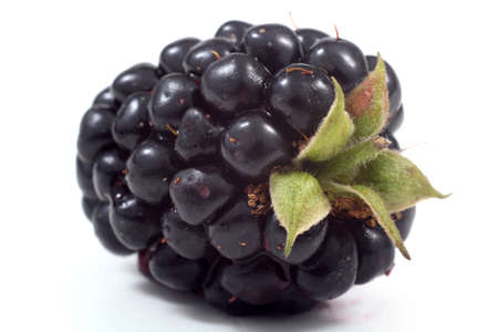 Blackberryの写真素材