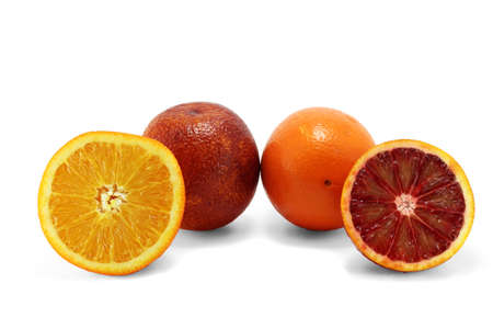 Orange and exotic red orangeの写真素材