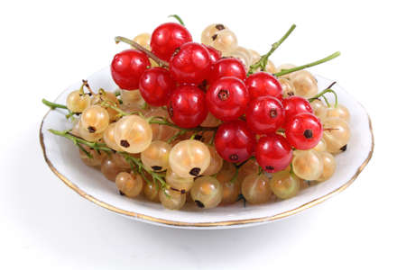 Red and white currant on dishの写真素材