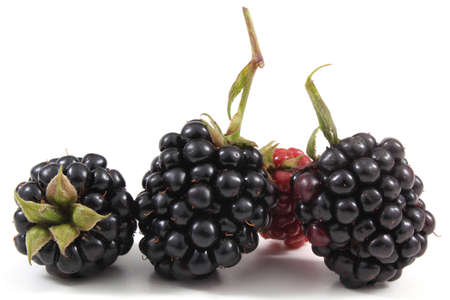 Group of blackberriesの写真素材