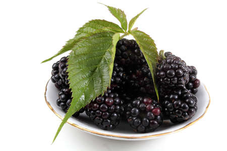 Blackberry with leafの写真素材