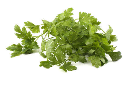 Bunch of parsley on whiteの写真素材
