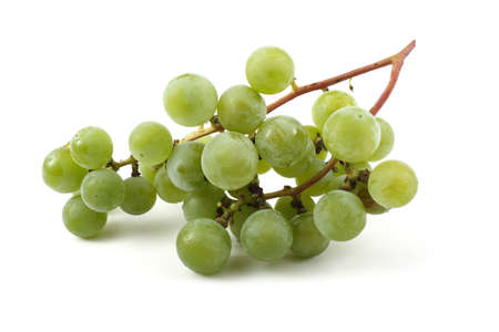 Cluster of wine grapeの写真素材
