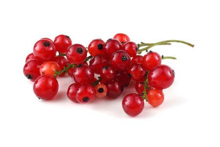 Red currant on whiteの写真素材