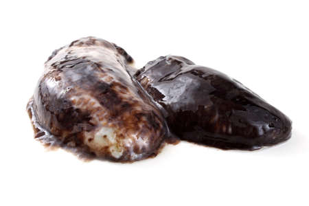 Sea cucumbers (cucumaria)の写真素材