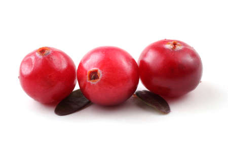 Cranberries with leavesの写真素材