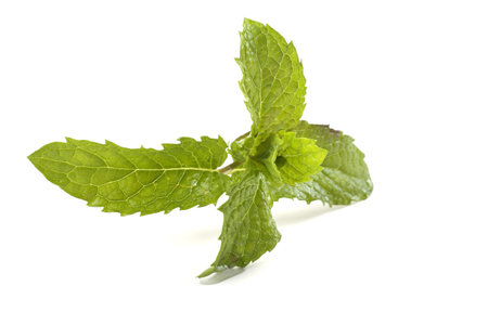 Mint